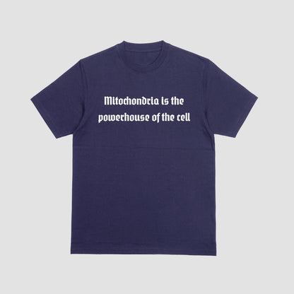 Mitochondria